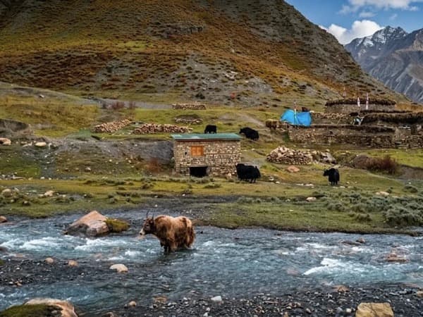 Upper Dolpo vs Lower Dolpo trek comparison