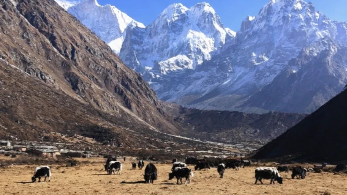 Kanchenjunga Conservation Area