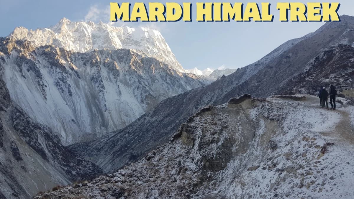 Mardi Himal Trek: The Trail Nepal's Trekking Industry Does Not Want You to Know About