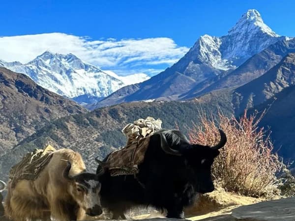 Ama Dablam And Mount Everest 2