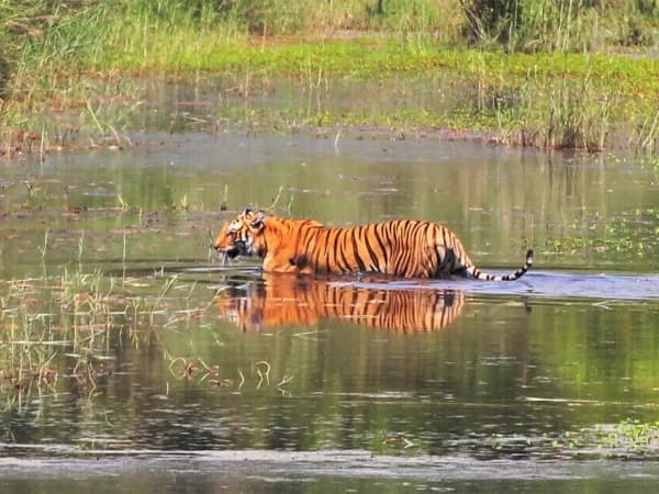 Bardiya Natinal Park 1