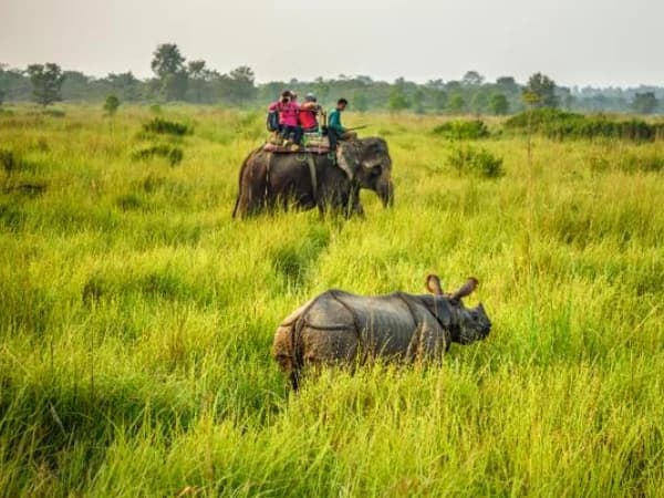 Chitwan10