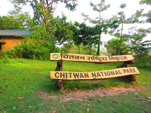 Chitwan3