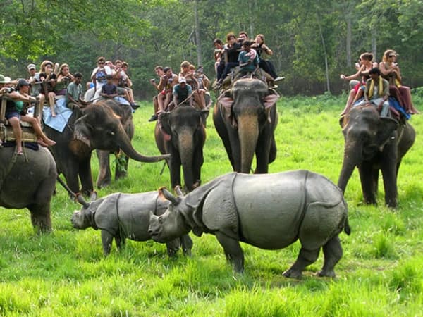 Chitwan5