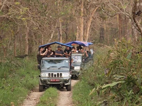 Chitwan8