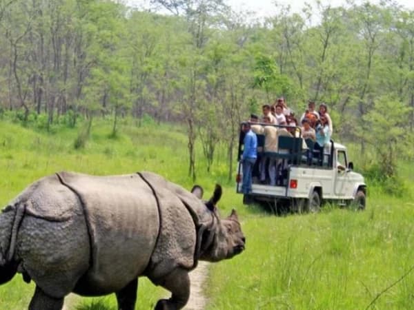 Chitwan9