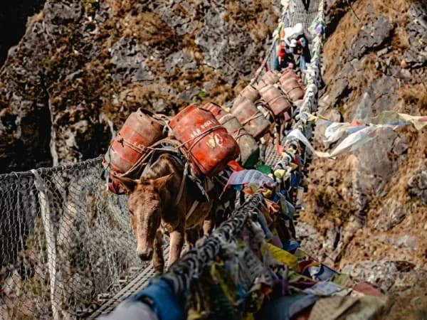 Hillary Suspension Bridge