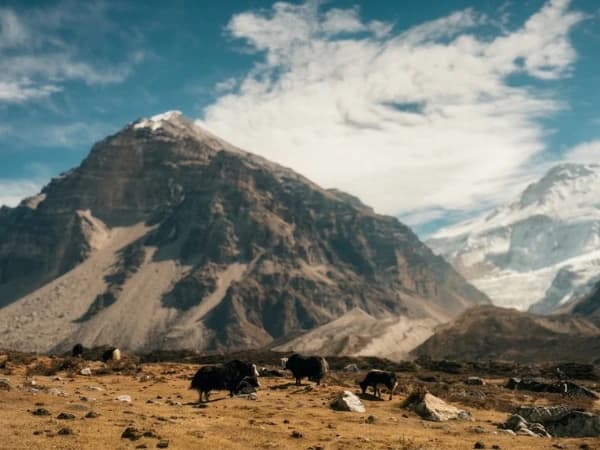 Kanchenjunga 11