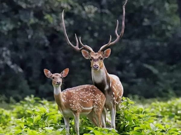 Photography Tour