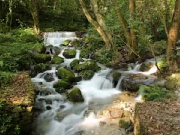 Sunarjial Nature 1