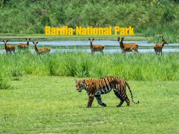 Bardia National Park