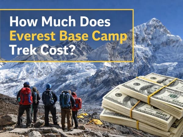 Everest Cost