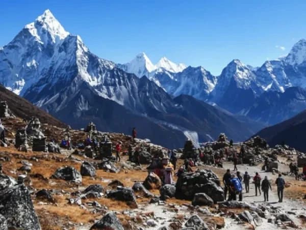 Porter carrying trekking gear on mountain trail