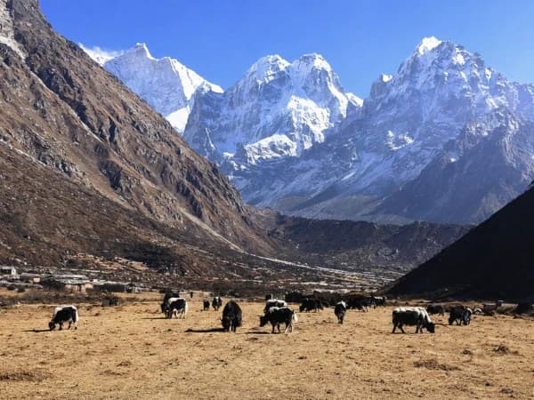 Kanchenjunga Conservation Area trek