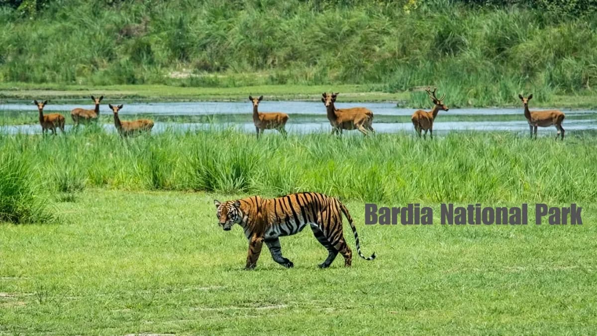 Bardia National Park