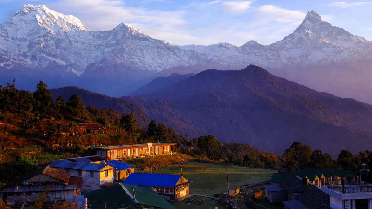 Australian Base Camp Guide