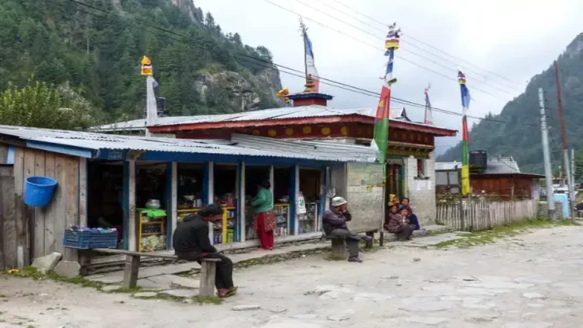 Koto: The Ancient Gateway to Hidden Worlds