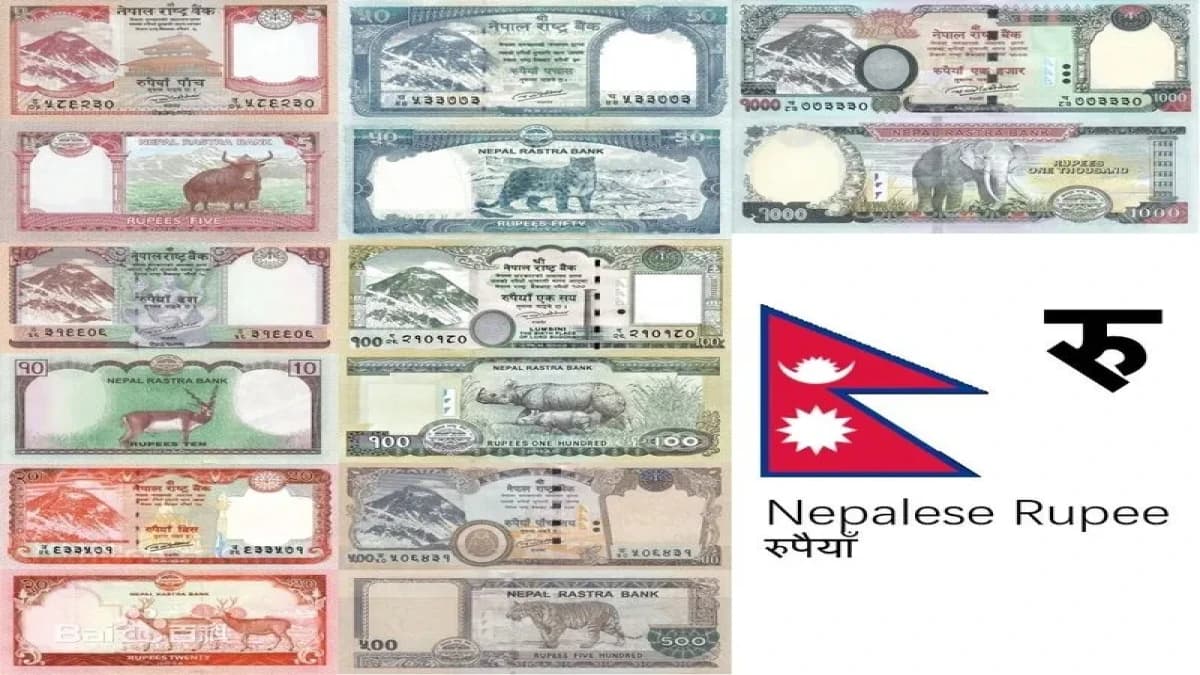 Nepal Currency Guide