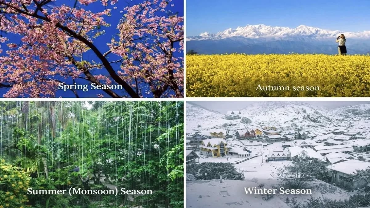 Nepali Weather