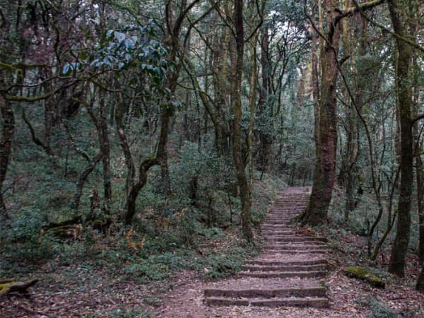 Shivapuri Day Hiking - 1 Days